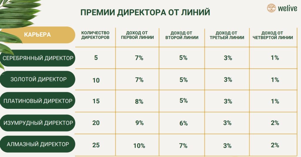 премии директора welive от линий  